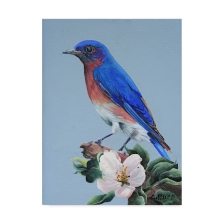 Carol J Rupp 'Eastern Bluebird In Trees' Canvas Art,14x19
